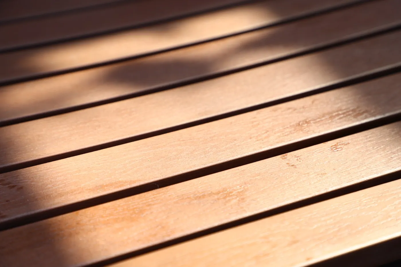 Warm sunlight falling across deck boards